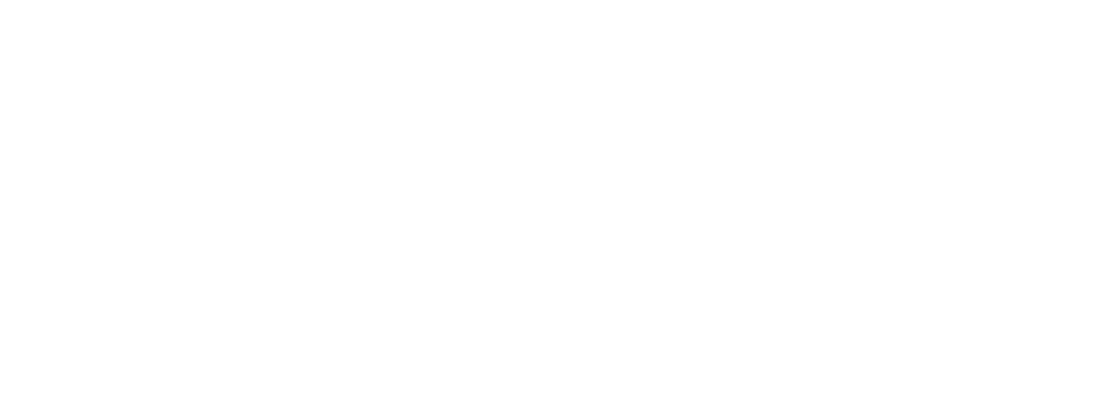 logo bessmension